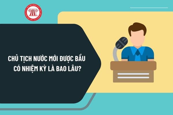 Chủ tịch nước mới được bầu có nhiệm kỳ là bao lâu? Tân Chủ tịch nước có quyền hạn và nhiệm vụ như thế nào?