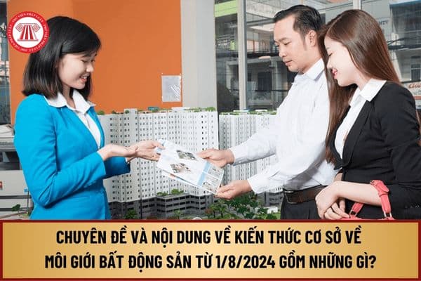 Chuyên đề và nội dung về kiến thức cơ sở về môi giới bất động sản từ 1/8/2024 gồm những gì?