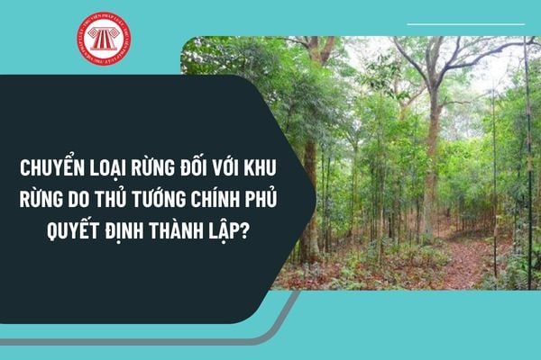 Thủ tục chuyển loại rừng đối với khu rừng do Thủ tướng Chính phủ quyết định thành lập từ 30/10/2024 như thế nào?