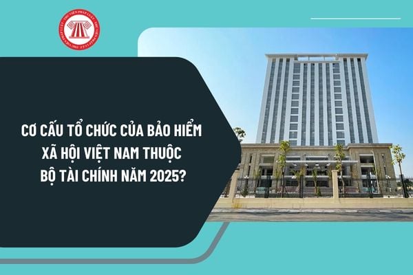 Cơ cấu tổ chức của Bảo hiểm xã hội Việt Nam thuộc Bộ Tài chính năm 2025 theo Quyết định 391 như thế nào?