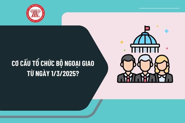 Cơ cấu tổ chức Bộ Ngoại giao từ 1 3 2025? Chi tiết cơ cấu tổ chức Bộ Ngoại giao năm 2025 như thế nào?