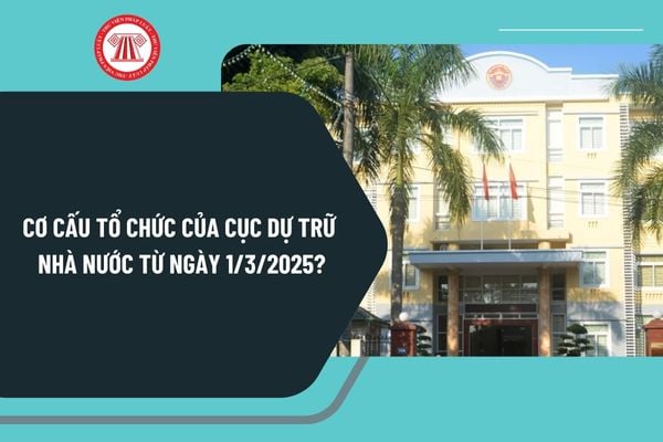 Cơ cấu tổ chức của Cục Dự trữ Nhà nước từ ngày 1/3/2025 theo Quyết định 383/QĐ-BTC năm 2025 như thế nào?