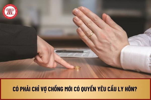 Có phải chỉ vợ chồng mới có quyền yêu cầu ly hôn? Chỉ có vợ hoặc chồng mới được yêu cầu Tòa án giải quyết ly hôn đúng không?