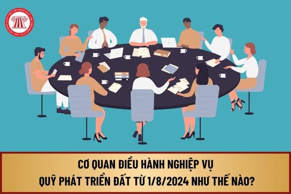 Cơ cấu, tổ chức của Cơ quan điều hành nghiệp vụ Quỹ phát triển đất từ 1/8/2024 như thế nào?