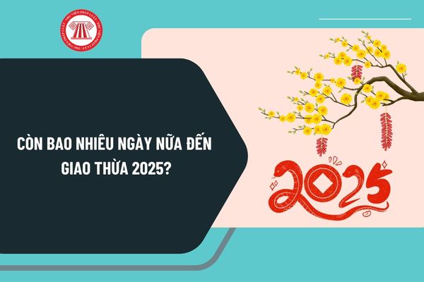 Còn bao nhiêu ngày nữa đến giao thừa 2025? Mùng 1 Tết Âm lịch 2025 vào ngày thứ mấy dương lịch?