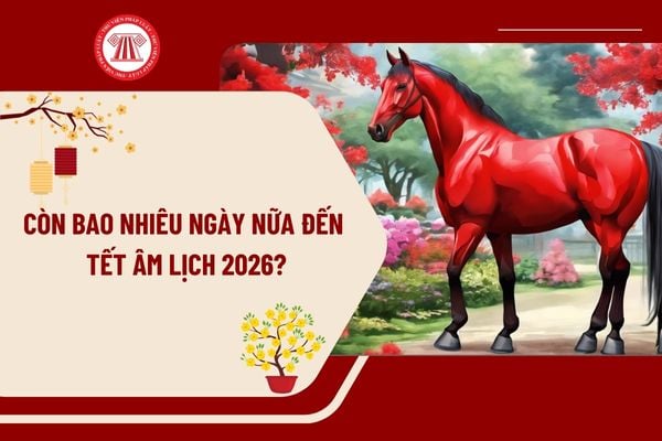 Còn bao nhiêu ngày nữa đến Tết Âm lịch 2026? Năm 2026 có bao nhiêu ngày ...