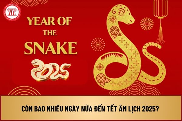 Còn bao nhiêu ngày nữa đến Tết Âm lịch 2025? Mùng 1 Tết Âm lịch 2025 rơi vào ngày mấy dương lịch?