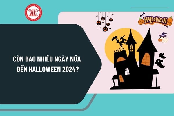 Còn bao nhiêu ngày nữa đến Halloween 2024? Halloween ngày mấy tháng mấy? Halloween 2024 vào thứ mấy trong tuần?