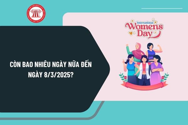 Còn bao nhiêu ngày nữa đến 8 tháng 3 năm 2025? Ngày 8 3 2025 thứ mấy? Ngày 8 3 2025 là ngày mấy âm lịch?