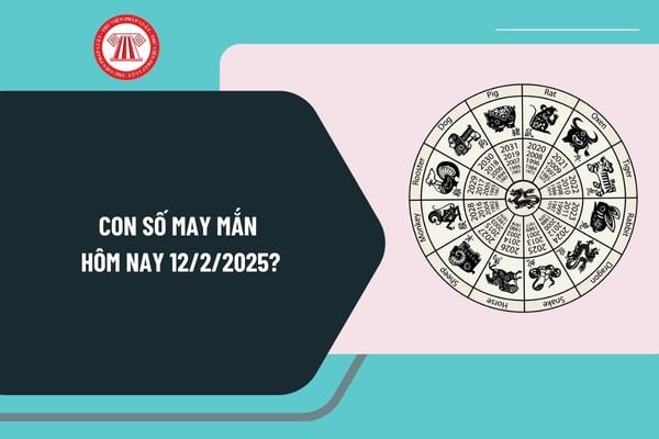 Con số may mắn hôm nay 12 2 2025? Con số may mắn ngày 12 2 2025 theo 12 con giáp? 3 con số may mắn hôm nay 12 2 2025?