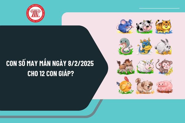 Con số may mắn ngày 8 2 2025 cho 12 con giáp? Con số may mắn hôm nay 8 2 2025 tài lộc? Ngày 8 2 2025 là ngày mấy âm?