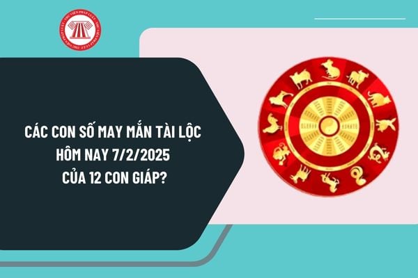 Các con số may mắn tài lộc hôm nay 7/2/2025 của 12 con giáp? Ngày Vía Thần Tài nên mua mấy chỉ vàng?