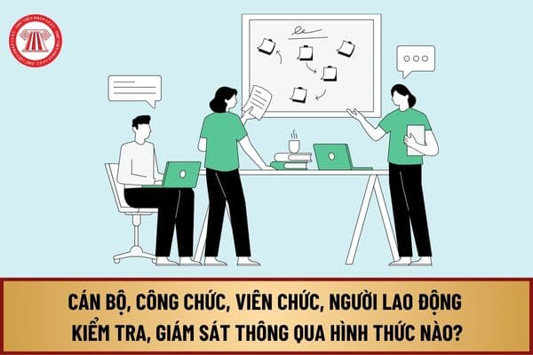 Theo Luật Thực hiện dân chủ ở cơ sở, cán bộ, công chức, viên chức, người lao động kiểm tra, giám sát thông qua hình thức nào sau đây?