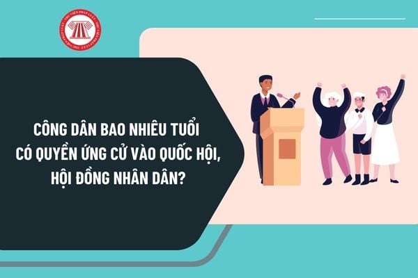 Theo Hiến pháp quy định, công dân bao nhiêu tuổi có quyền ứng cử vào Quốc hội, Hội đồng nhân dân?