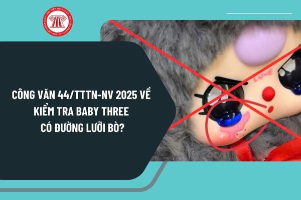 Công văn 44/TTTN-NV 2025 về kiểm tra Baby three có đường lưỡi bò liên quan đến chủ quyền lãnh thổ Việt Nam?