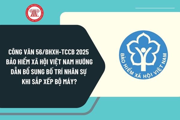 Công văn 56/BHXH-TCCB 2025 Bảo hiểm xã hội Việt Nam hướng dẫn bổ sung bố trí nhân sự khi sắp xếp bộ máy?