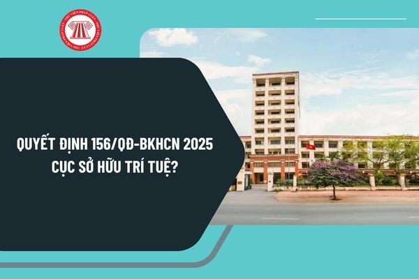 Quyết định 156/QĐ-BKHCN năm 2025 Cục Sở hữu trí tuệ về chức năng, nhiệm vụ, quyền hạn và cơ cấu tổ chức?