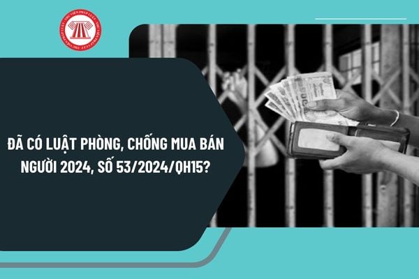 Đã có Luật Phòng, chống mua bán người 2024, số 53/2024/QH15? Tải Luật Phòng, chống mua bán người 2024 ở đâu?