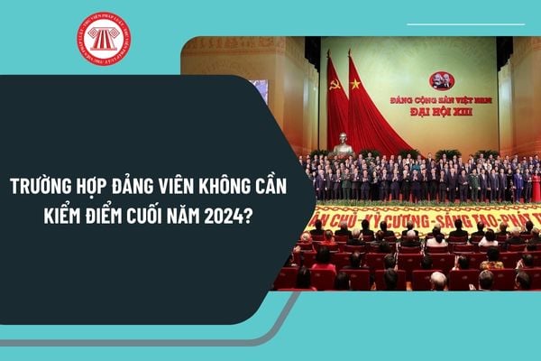 Trường hợp nào Đảng viên không cần kiểm điểm cuối năm 2024? Đánh giá Đảng viên cuối năm 2024 theo quy trình ra sao? 