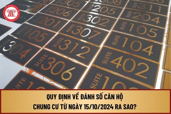 Quy định về đánh số căn hộ chung cư từ ngày 15/10/2024 ra sao? Nhiệm kỳ của Ban quản trị nhà chung cư trong bao lâu?