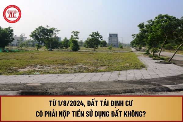 Từ 1/8/2024, đất tái định cư có phải nộp tiền sử dụng đất không? Trường hợp nào được miễn tiền sử dụng đất?