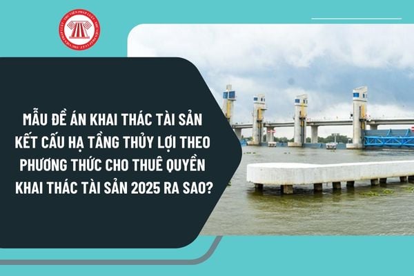 Mẫu đề án khai thác tài sản kết cấu hạ tầng thủy lợi theo phương thức cho thuê quyền khai thác tài sản 2025 ra sao?