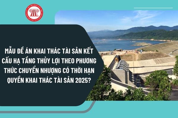 Mẫu đề án khai thác tài sản kết cấu hạ tầng thủy lợi theo phương thức chuyển nhượng có thời hạn quyền khai thác tài sản 2025?