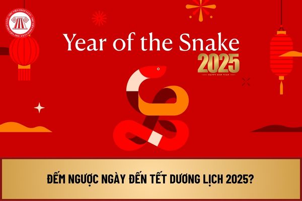 Còn bao nhiêu ngày nữa đến Tết Dương lịch 2025? Mùng 1 Tết Dương lịch 2025 vào ngày mấy, thứ mấy trong tuần?