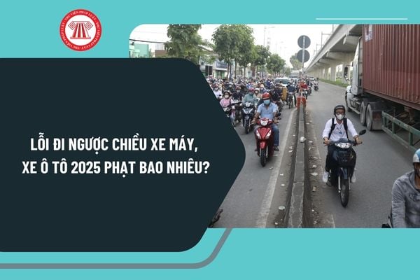 Lỗi đi ngược chiều xe máy, xe ô tô 2025 phạt bao nhiêu tiền? Xe nào được đi vào đường ngược chiều?