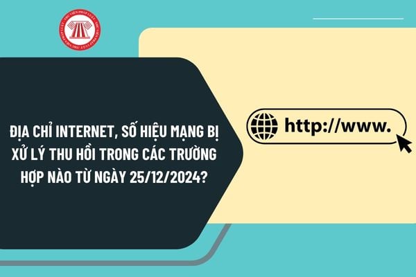 Địa chỉ Internet, số hiệu mạng bị xử lý thu hồi trong các trường hợp nào từ ngày 25/12/2024?