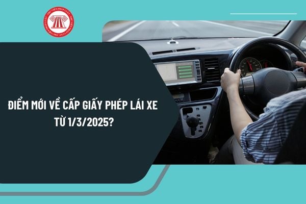 Điểm mới về cấp giấy phép lái xe từ 1/3/2025? Tổng hợp điểm mới về cấp giấy phép lái xe mới nhất 2025?