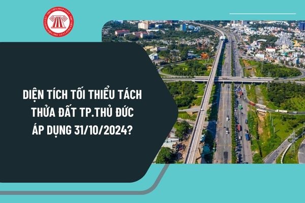 Diện tích tối thiểu tách thửa đất TP Thủ Đức áp dụng 31 10 2024? Diện tích tối thiểu được tách thửa tại TPHCM ra sao?