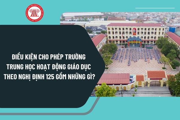 Điều kiện cho phép trường trung học hoạt động giáo dục từ 20/11/2024 theo Nghị định 125 gồm những gì?