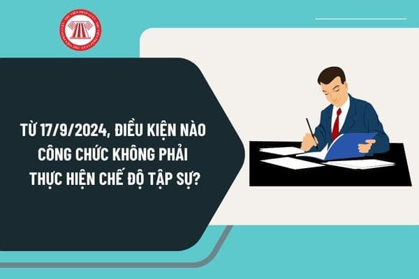 Từ ngày 17/9/2024, công chức không phải thực hiện chế độ tập sự khi đáp ứng những điều kiện nào?