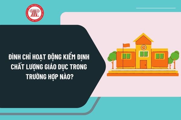 Đình chỉ hoạt động kiểm định chất lượng giáo dục trong trường hợp nào? Trình tự thực hiện ra sao?