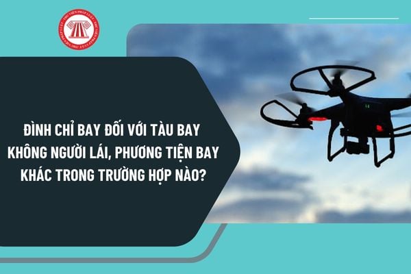 Đình chỉ bay đối với tàu bay không người lái, phương tiện bay khác trong trường hợp nào từ 1/7/2025?