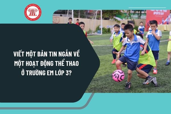 Viết một bản tin ngắn về một hoạt động thể thao ở trường em lớp 3? Yêu cầu cần đạt về đọc hiểu và viết của học sinh lớp 3 ra sao?