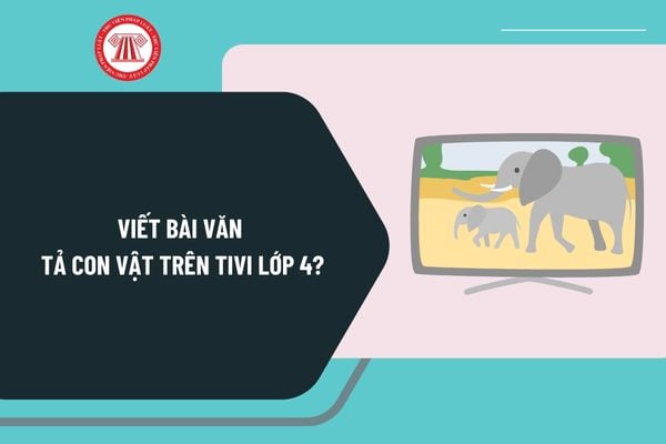 Mẫu viết bài văn tả con vật trên tivi lớp 4