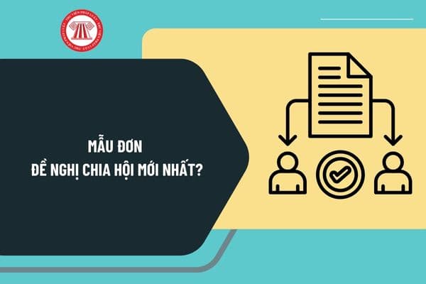 Mẫu đơn đề nghị chia hội mới nhất? Hướng dẫn lập mẫu đơn đề nghị chia hội theo Nghị định 126 như thế nào?