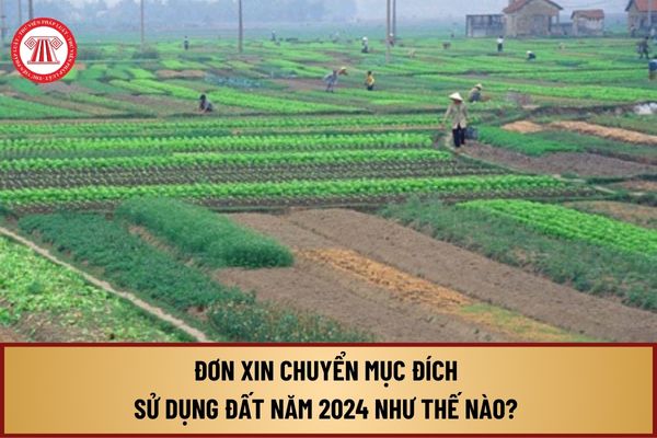 Đơn xin chuyển mục đích sử dụng đất năm 2024 như thế nào? Tải về đơn xin chuyển mục đích sử dụng đất ở đâu?