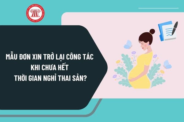 Mẫu đơn xin trở lại công tác khi chưa hết thời gian nghỉ thai sản mới nhất? Hướng dẫn viết mẫu đơn xin trở lại công tác như thế nào?