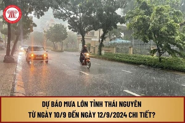 Dự báo mưa lớn tỉnh Thái Nguyên từ 10/9 đến 12/9/2024 chi tiết? Cảnh báo tím do lũ quét sạt lở đất nghĩa là gì?