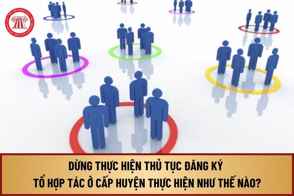 Dừng thực hiện thủ tục đăng ký tổ hợp tác ở cấp huyện từ 13/8/2024 được thực hiện như thế nào?