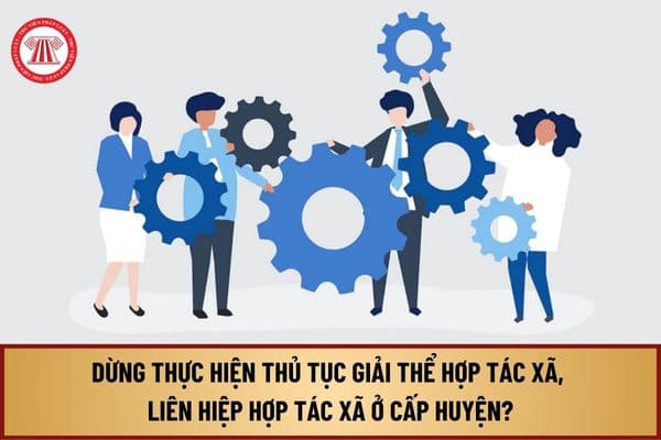 Dừng thực hiện thủ tục giải thể hợp tác xã, liên hiệp hợp tác xã ở cấp huyện từ 13/8/2024 được thực hiện ra sao?