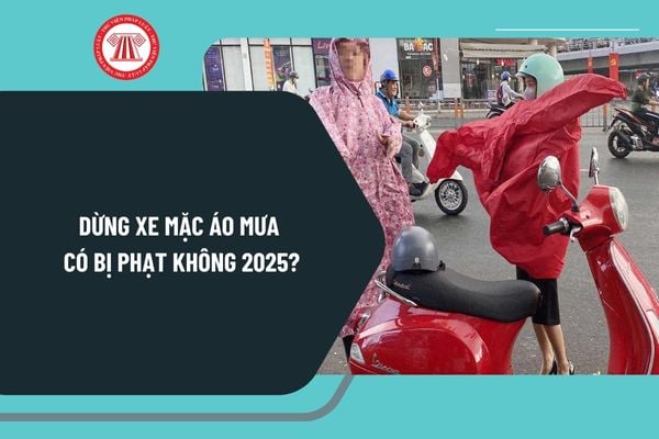 Dừng xe mặc áo mưa có bị phạt không 2025? Có được dừng xe máy, xe đạp trên đường để mặc áo mưa không?