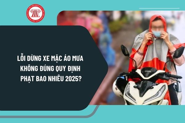 Lỗi dừng xe mặc áo mưa không đúng quy định phạt bao nhiêu 2025? Có bị trừ điểm giấy phép lái xe không?