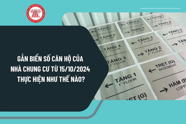 Gắn biển số căn hộ của nhà chung cư từ ngày 15/10/2024 theo Thông tư 08 thực hiện như thế nào?