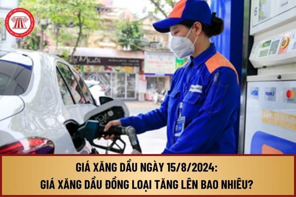 Giá xăng dầu ngày 15/8/2024: Giá xăng dầu đồng loại tăng lên bao nhiêu? Giá xăng Ron 95 tăng lên bao nhiêu?