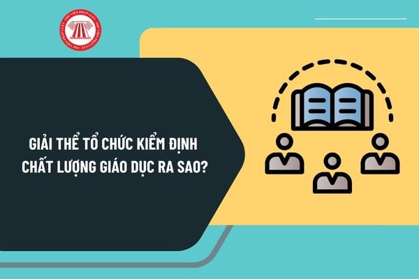 Giải thể tổ chức kiểm định chất lượng giáo dục ra sao? Trình tự giải thể tổ chức kiểm định chất lượng giáo dục thế nào?