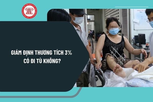 Giám định thương tích 3% có đi tù không? Phương pháp xác định tỷ lệ phần trăm tổn thương cơ thể ra sao?